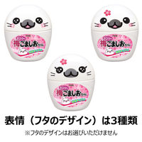 丸美屋 ピンクの梅ごましおちゃん ふりかけ 容器入 26g 1セット（1個×2）丸美屋食品工業