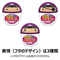 丸美屋 にんにん味道楽丸 ふりかけ 容器入 18g 1セット（1個×2）丸美屋食品工業