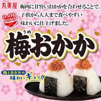 丸美屋 のっけるふりかけ 梅おかか 90g 1セット（1個×2）丸美屋食品工業 ごはんのお供 瓶詰