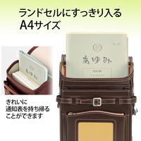 プラス 通知表ホルダー クリア 79726 1枚