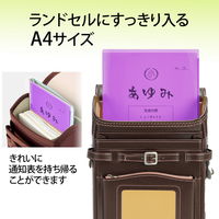 プラス 通知表ホルダー パープル 79722 1枚