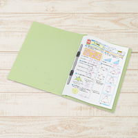 プラス 年組氏名PPフラットファイル A4タテ ユニバーサルカラー 緑色 79400 1冊