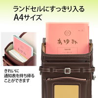 プラス 通知表ホルダー ピンク 79723 1枚