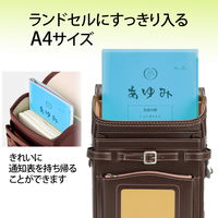 プラス 通知表ホルダー ネイビー 79721 1枚