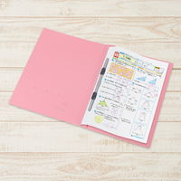 プラス 年組氏名PPフラットファイル A4タテ ユニバーサルカラー ピンク色 79402 1冊