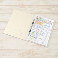 プラス 年組氏名PPフラットファイル A4タテ ユニバーサルカラー クリーム 79401 1冊