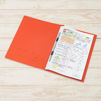 プラス 年組氏名PPフラットファイル A4タテ ユニバーサルカラー 赤色 79404 1冊