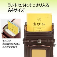 プラス 通知表ホルダー イエロー 79724 1枚