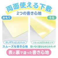 共栄プラスチック 軟質 下敷き 透明カラーのしっかりシタ字キ A4 パイン TCS-A4-PI 1セット(1枚×5)（直送品）