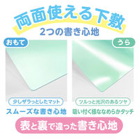 共栄プラスチック 軟質 下敷き 透明カラーのしっかりシタ字キ A4 青りんご TCS-A4-AO 1セット(1枚×5)（直送品）
