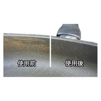 ユーロキッチン ユーロキッチンコーティングフライパン専用クリーナーファイナルリフレッシュ EUR101057 1個（直送品）