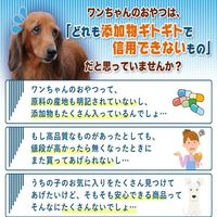 平飼い卵と米粉のクッキー 岡山県産 糀＆乳酸菌 無添加 国産 30g 1袋 オーシーファーム 犬用 おやつ
