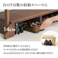 【軒先渡し】萩原 手摺り付き玄関踏み台 MFD-6909DBR 1台（直送品）