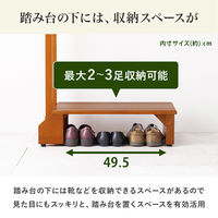 【軒先渡し】萩原 手摺り付き玄関踏み台 VH-7938LBR-S 1台（直送品）