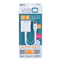 ナカバヤシ TypeーC　PD対応　イヤホン変換ケーブル　ホワイト SADーCE05PW 1個