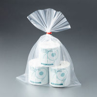 アスクルオリジナル　ポリ袋（規格袋）　透明中厚手タイプ（LDPE）　0.06mm厚　18号　380×530mm　1袋（50枚入） オリジナル（わけあり品）