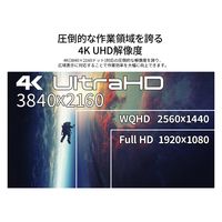【設置込】JAPANNEXT 65インチ4K液晶モニター 純正スタンドセット JN-HDR650IPSUHDJRF-KUMI 1セット（直送品）