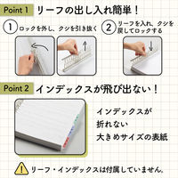 リヒト リングノート保存用ファイル ファイル バインダー 保管 ストッパー付 350枚収容可能 セミB5 ブラック N1861-24 1冊（直送品）