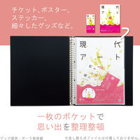 リヒトラブ リヒト Collel クリヤーポケット<A4+A5> ファイル 交換ポケット パンフレット収納 A4 N473 1組（直送品）