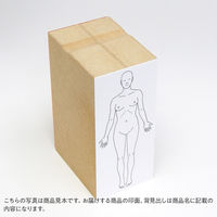 ゴム印  全身（女性背面）  A231  1個（直送品）