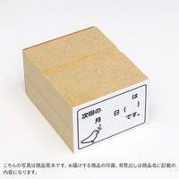 ゴム印  クリニックメッセージハンコ（次回予定）  A267  1個（直送品）