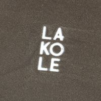 HAKKAKUプレート（S） グレー LAKOLE/ラコレ