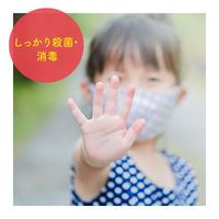 ミューズ 泡ハンドソープ フルーティフレッシュの香り 本体 250ml 【泡タイプ】 643617 1ケース(250ML×24個)（直送品）