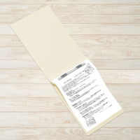 プラス フラットファイル縦罫B5E No.032NT IV 1冊 98263 1セット(10冊)（直送品）