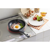 竹原製缶 セラループ IHフライパン20cm SF-320 1個（直送品）