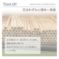 ファーバーカステル ポリクロモス色鉛筆セット 36色木箱セット 110036W 1個（直送品）