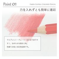ファーバーカステル デューラー水彩色鉛筆セット 36色缶入り 117536 1個（直送品）