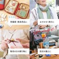 アイメディア コンパクトなメディカルポーチ 1009966 1個（直送品）
