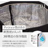 アイメディア 保冷リュック ブラック 1008176 1個（直送品）