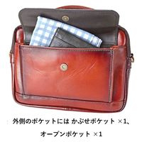 スワン GEM BASIC 牛革シャドー 横ショルダー 1512 ブラウン 1個（直送品）