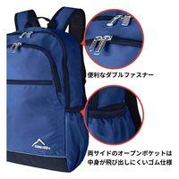 スワン SIERRA FIELD AD ミニDリュック 2230 19L ネイビー 1個（直送品）