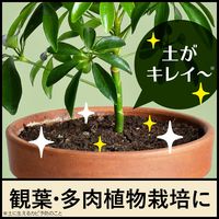 【園芸用品】アース製薬 観葉植物 防カビ BotaNice ボタナイス 土のカビ予防 350mL  50004197 1本