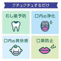 モンダミン Kid's（キッズ） メロンソーダ味味 250mL ノンアルコール 洗口液 1個 アース製薬 オリジナル