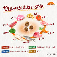 オールウェル 避妊・去勢後 10種の自然素材 サーモン＆ツナ味 国産 1.2kg（300g×4袋）1袋 ユニ・チャーム