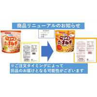 つまめるたまねぎせんべい オニオンコンソメ味 6袋 ぼんち せんべい おかき チャック付