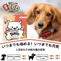 ディンゴ ソフトツイスト ミニ 超小型～小型犬用 14本入 1袋 スペクトラム ブランズ ジャパン 犬用 おやつ