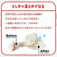 ディンゴ オリジナルチキン ミニ  超小型～小型犬用 22本入 1セット（1袋×3）スペクトラム ブランズ ジャパン 犬用 おやつ