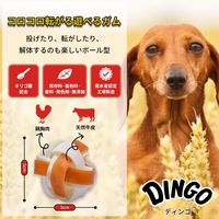 ディンゴ チキンボール ミニ 超小型～小型犬用 8個入 1セット（1袋×3）スペクトラム ブランズ ジャパン 犬用 おやつ