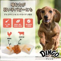 ディンゴ ソフトツイスト ミニ 超小型～小型犬用 14本入 1セット（1袋×3）スペクトラム ブランズ ジャパン 犬用 おやつ