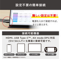 【まとめ買いがお得】アイリスオーヤマ モバイルモニター PCモニター USB-C ディスプレイ 18.5インチ DP-EF184S-B