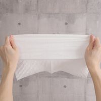 伊藤忠リーテイルリンク 不織布ウエス 1パック(50枚入) オリジナル