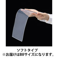 アスクル カードケース ソフトタイプ B8  1箱（20枚入） オリジナル