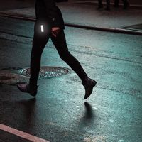 BOOKMAN Clip-on Reflectors クリップオンリフレクター 反射クリップ Black 296 1個（直送品）