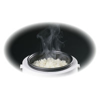 カンダ ERETTO"mono"ミニ炊飯器 ET-110 4975192092347 1個（直送品）