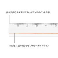デザインフィル レンズ定規 15cm 拡大レンズ約1.5倍 ラインガイド付き 透明 42306006 1セット(1個×5)（直送品）
