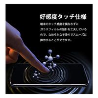 武興商事 iPhone12対応 全3種類 強化ガラスフィルム 液晶保護 A 6.7インチ 100245 1個（直送品）